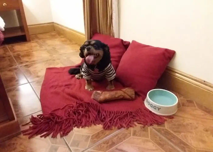 Uppercross House Hotel Dublino