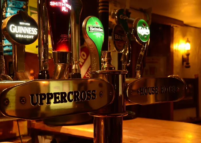 Uppercross House 호텔 더블린