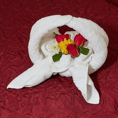 Uppercross House Hotel