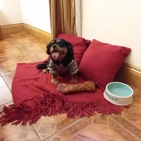 Uppercross House Hotel Dublin